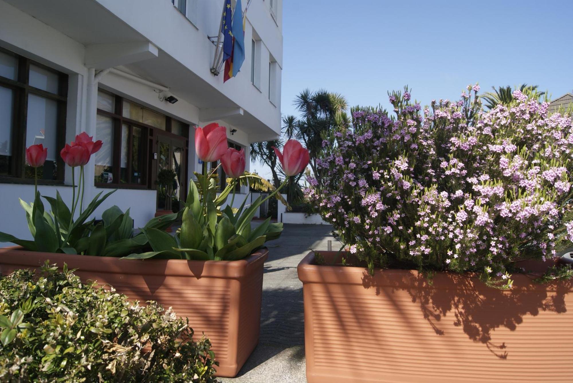 Hotel Los Laureles Luanco Extérieur photo